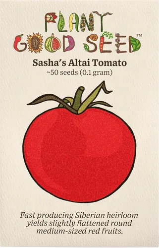 Plant Good Seed Semillas de tomate orgánicas Sasha's Altai – Paquete de 50, semillas tradicionales para plantar verduras – Suministros de