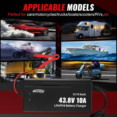 Miniatura 6 de Cargador de batería 36V10ALiFePO4