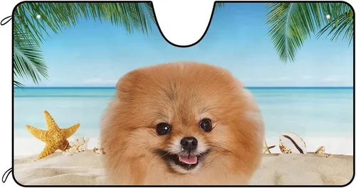Miniatura 7 de Parasol para parabrisas delantero de automóvil con texto en inglés "A Happy Young Shih Tzu Dog Puppy in the Beach", decoración de verano, parasol