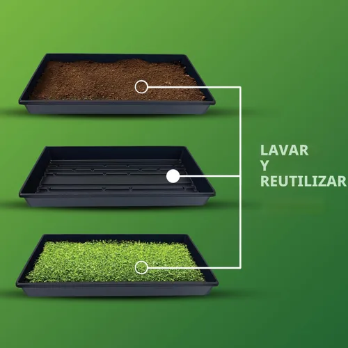 Miniatura 4 de Bandeja de propagación de plantas de plástico negro de 10 x 20 pulgadas (paquete de 10) - Bandejas de cultivo para jardín, plantación, plántulas