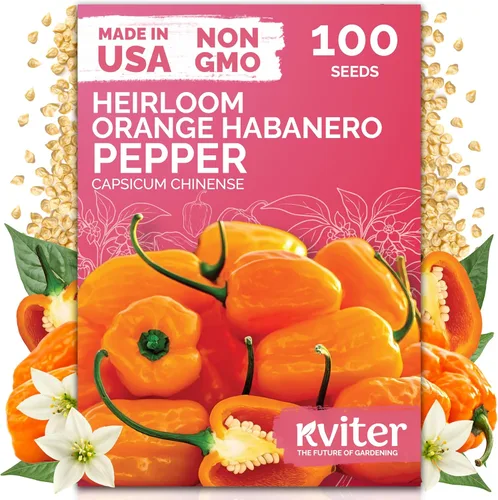 Miniatura 30 de KVITER 3100 semillas de zanahoria tiernas para plantar (Daucus carota) - Semillas de vegetales sin OMG para jardín al aire libre - Zanahorias dulces