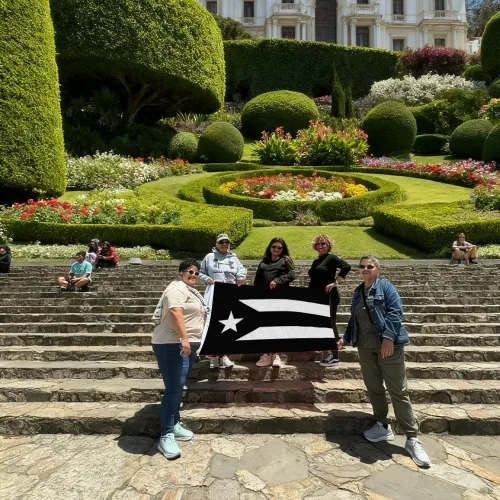 Miniatura 4 de Bandera negra de Puerto Rico, poliéster de 3 x 5 pies, perfecta para hogares, eventos, desfiles, protestas, etc. (negro)