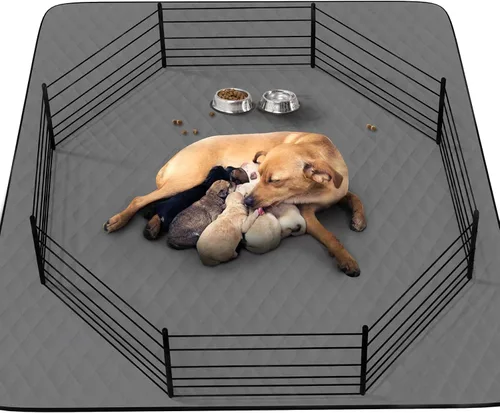 CoolShields - Alfombrilla lavable para orines de cachorro, 72 X 72 extra grande, tapete impermeable para entrenamiento de parto en corralito, jaula,