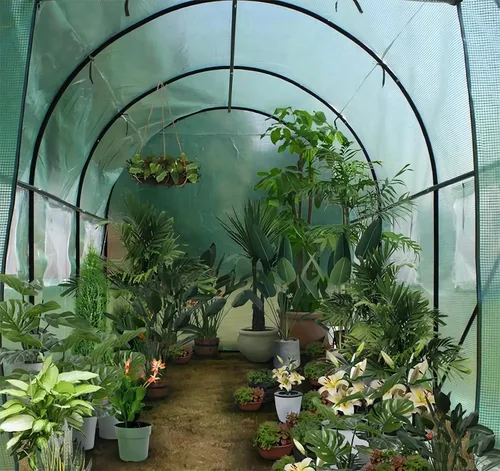 Miniatura 3 de Invernadero al aire libre con puerta mosquitera, exterior resistente, casa verde para plantas de jardín, protección UV, termostática, impermeable