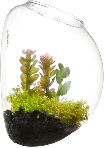 Miniatura 2 de Juego de 3 jarrones de pared de vidrio con forma de cuenco de burbujas, terrario para colgar en la pared, macetas de pared para interiores
