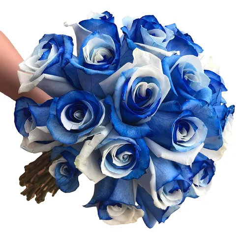 Miniatura 9 de Rosas arcoíris recién cortadas de Flower Explosion
