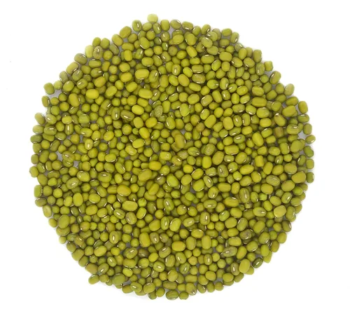Frijoles Mungos Orgánicos Secos Enteros también conocidos como 'Green Gram' 'Maash' 'Moong' Prelavados Limpios Listo para Cocinar sin OMG