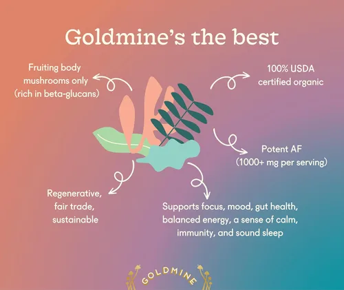 Miniatura 3 de Goldmine Supershroom - Suplemento funcional de hongos Reishi, potente suplemento de cerebro vegano adaptógeno - Polvo de apoyo inmunológico (tarro)