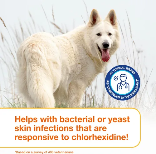 Miniatura 7 de Douxo S3 PYO Champú medicado para perros con clorhexidina al 3% para perros - Tratamiento antibacteriano y antiséptico para infección por levaduras
