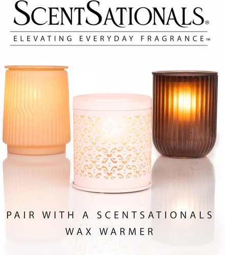 Miniatura 4 de ScentSationals Cera perfumada con especias de calabaza, calabaza, canela y clavo, 10 onzas (24 cubos)
