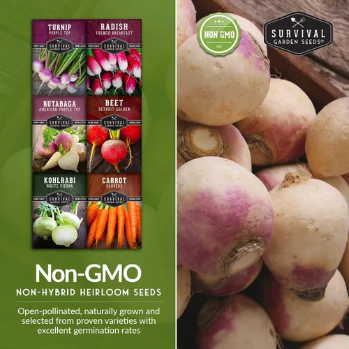Miniatura 5 de Survival Garden Seeds Colección de semillas de raíz vegetal, paquete de 6: zanahoria Danvers, nabo superior, rábano francés, colinabo, rutabaga