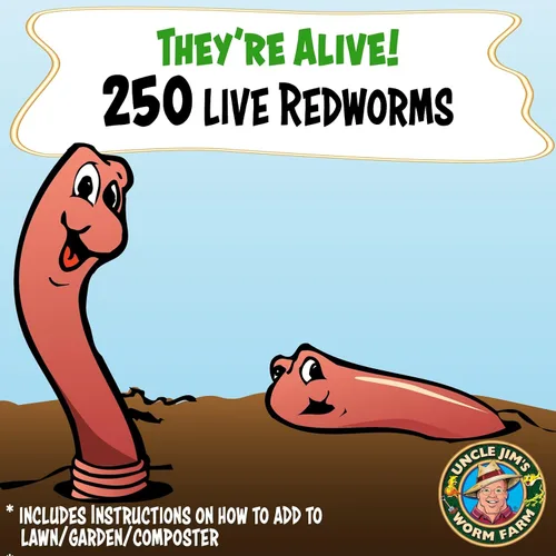 Miniatura 2 de Uncle Jim's Worm Farm Mezcla de gusanos de compostaje Red Wiggler de 250 unidades para suelo de jardín o pesca Paquete de iniciación de gusanos