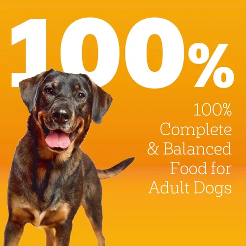 Miniatura 3 de Pedigree Alimento seco para perros adultos con alto contenido de proteínas, sabor a carne de res y cordero, bolsa de 3.5 libras