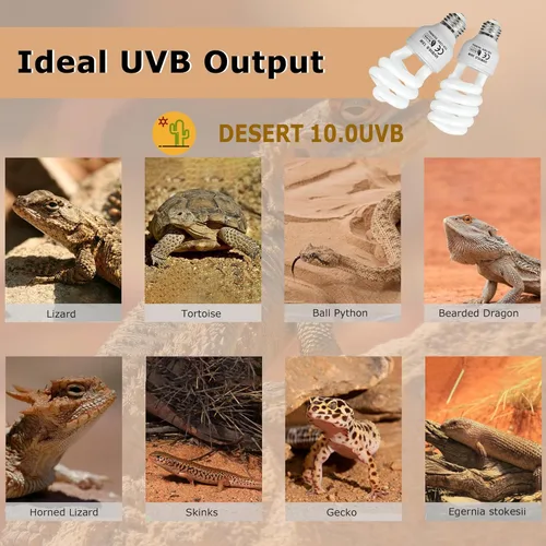 Miniatura 8 de Luz de reptil UVB 10.0 de 26 W, bombilla compacta de desierto para dragones barbudos, lagartos, serpientes, geckos, anfibios, lámpara UVA UVB