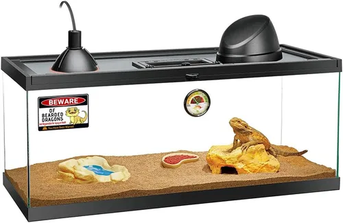 Miniatura 4 de Letrero de Beware of Bearded Dragons – Divertido accesorio y decoración para entusiastas de los dragones barbudos Señal de advertencia humorística
