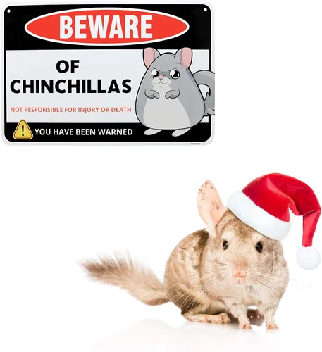 Miniatura 6 de Venicor Letrero decorativo de chinchillas – 8 x 12 pulgadas – Aluminio – Accesorios para jaula de chinchilla, juguetes, decoración de ruedas, regalo