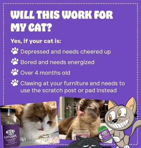 Miniatura 3 de Cat Crack Hierba gatera orgánica, mezcla orgánica 100% natural que energiza y excita a los gatos, golosinas seguras de hierba gatera utilizadas