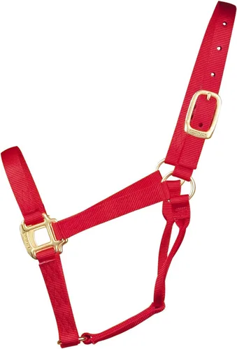 Hamilton Quality Horse Halter, nailon de triple capa de 1 pulgada, anilla o burro estándar, 300-500 libras, rojo Rojo (Red Brick)