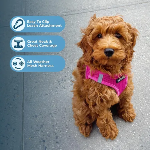 Miniatura 39 de Best Pet Supplies Voyager Step-in Air - Arnés para mascotas, malla para todo tipo de clima, reflectante, arnés sin tirón para perros y gatos - Arnés