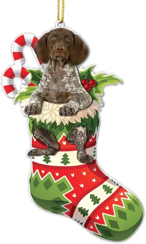 Miniatura 16 de Adorno acrílico plano de Navidad para perro de montaña bernés, adorable cachorro de montaña bernés en calcetín con bastones de caramelo, decoración