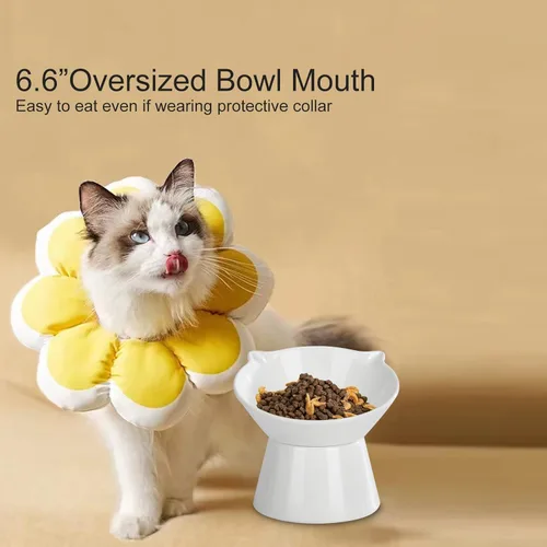 Miniatura 8 de Cuencos elevados desmontables para gatos, tazón elevado para comida de gatos inclinado 15° anti-vómito, amigable con los bigotes, platos ajustables