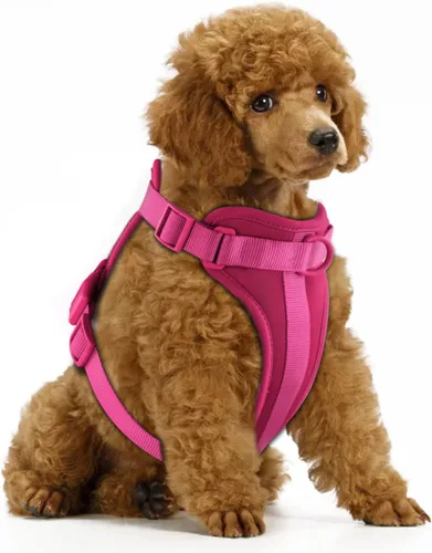Miniatura 13 de Arnés ligero para perro sin tirones: arnés ajustable y duradero de malla transpirable con cojín suave y cómodo, para perros pequeños, medianos y Lila