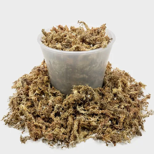 Miniatura 2 de Sphagnum - Mezcla para macetas de musgo para plantas carnívoras, mezcla de musgo y perlita para macetas, trampas para moscas Venus, sarracenia