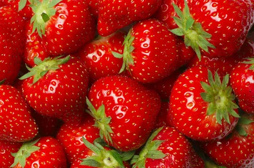 Miniatura 3 de 10 plantas de raíz desnuda de fresa roja para cultivar, extremadamente resistentes
