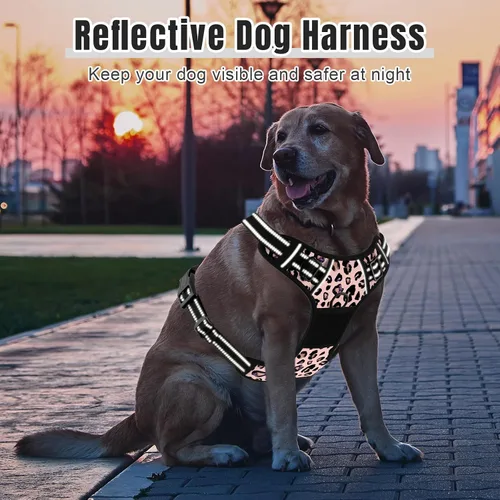 Miniatura 6 de Rnivvi Arnés sin tirones para perro, bonito arnés reflectante de leopardo tamaño XS para cachorros, chaleco acolchado suave ajustable para perros