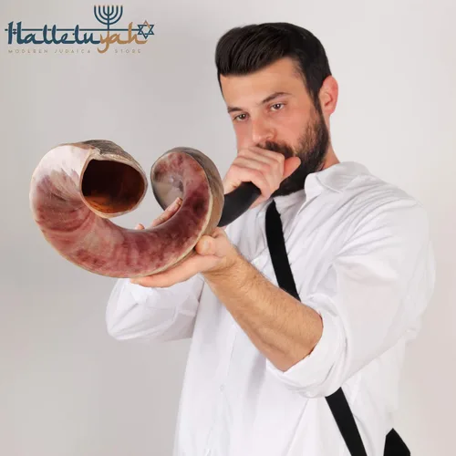 Miniatura 6 de Shofar de cuerno Kudu de 35"-39" de Israel con soporte decorado por HalelluYAH