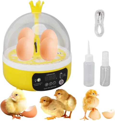 Tissting Mini incubadora de 4 huevos con tapa transparente, control automático de humedad de temperatura de 7 W, máquina de incubación de aves de