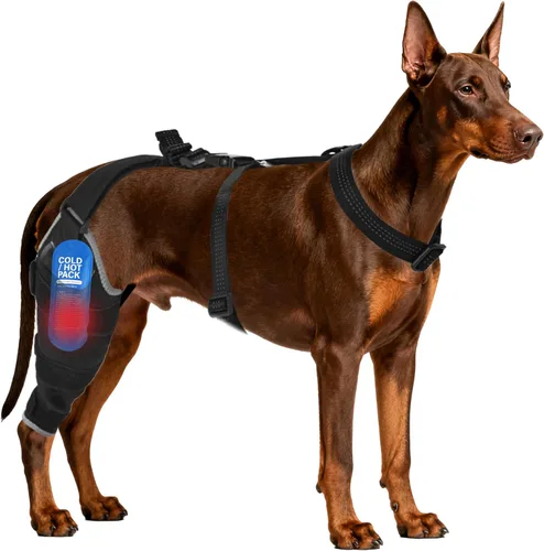 Miniatura 11 de Rodillera para perro para pierna trasera, ajustable, transpirable, con paquetes de gel caliente y frío, soporta perros grandes y medianos