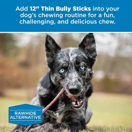 Miniatura 6 de Best Bully Sticks Palitos finos de 6 pulgadas, 24 unidades (paquete de 1), naturales, fáciles de digeribles, 100% alimentados con pasto, sin granos