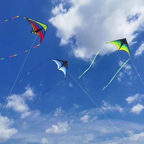 Miniatura 6 de Mint's Colorful Life - Cometa Delta para niños y adultos, cometa extremadamente fácil de volar, las mejores cometas para principiantes
