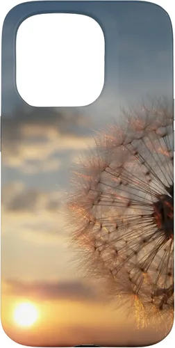 Miniatura 14 de iPhone 16 Beautiful Dandelion Flower Summer Sunset Photography Case