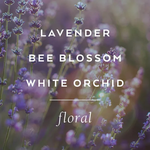 Miniatura 4 de Lollia Relax Baño de Burbujas, 25 onzas líquidas, jabón de lujo con fragancia de lavanda y miel, limpiador perfumado suave e hidratante
