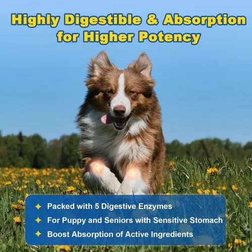 Miniatura 7 de Glucosamina para perros – Suplemento articular para perros – Condroitina, MSM, Omega-3, apoyo a la movilidad, cartílago, alivio del dolor