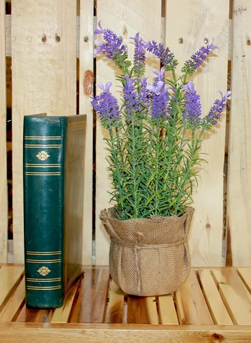 Miniatura 2 de Worth Imports Lavanda artificial de 16" en un recipiente de saco de arpillera