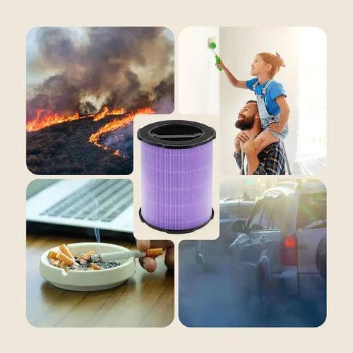 Miniatura 5 de WELOV Filtro absorbente de toxinas P200S/P200 Pro, 3 en 1 H13 True HEPA y filtro de carbón activado de alta eficiencia para formaldehído, toxinas