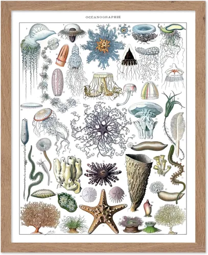Miniatura 55 de Poster Master Póster vintage de miel, impresión retro de La Vie De L'Abeille, arte de panal de abeja, arte de pared de abeja, regalo para hombres