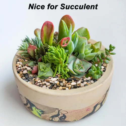 Miniatura 8 de Rocas para pecera, Rocas de río Virekm, piedras decorativas ornamentales para paisajismo de jardín, grava de relleno para decoración del hogar