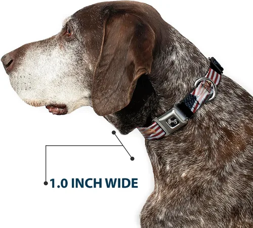 Miniatura 6 de Bandera de Estados Unidos diseño de estrellas y rayas Eagle Diversión Animal Cinturón de Seguridad Pet Collar, Multicolor