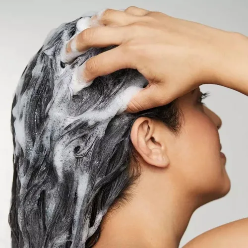 Miniatura 4 de Awapuhi Wild Ginger by Paul Mitchell Champú nutritivo, fórmula ultra rica y segura para el color, para cabello seco, dañado + teñido
