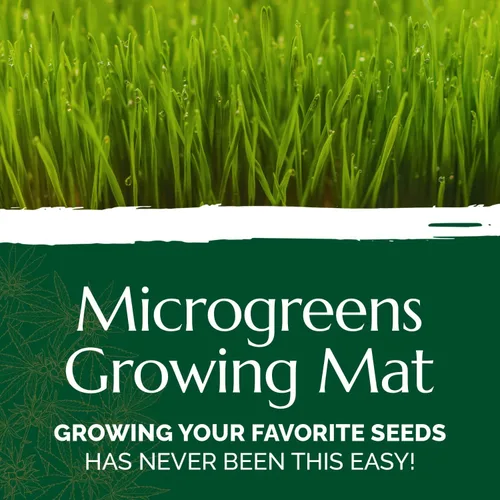 Miniatura 2 de Chanvra Grow Microgreens - Tapete de cultivo natural para kits de brotación de cultivo, almohadillas de cáñamo hidropónicas, tapete de cultivo