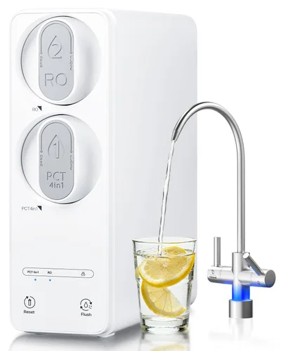 Ecoviva Sistema de ósmosis inversa de 600GPD, sistema de filtro de agua RO debajo del fregadero, sin tanque, TDS más bajo, relación de pureza a