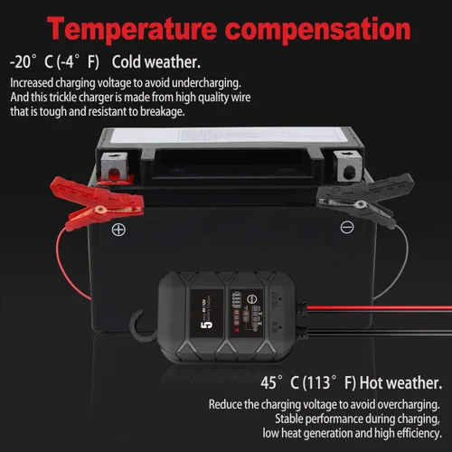 Miniatura 6 de BYGD Cargador de batería inteligente 5A 6v 12v automotriz, cargador de batería de flotador de ciclo profundo, desulfador de batería de reparación