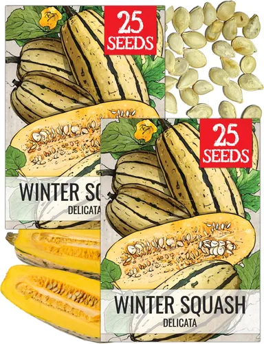 Miniatura 22 de Seed Needs Semillas de calabacín para plantar calabaza de verano Black Beauty, sin OMG, reliquia y sin tratar, rendimientos prolíficos de deliciosos