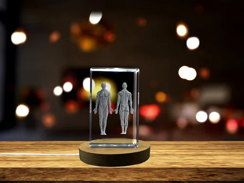 Miniatura 24 de Regalo para médicos 3D grabado en cristal recuerdo/regalo/decoración/(pequeño (3 x 2 x 2 pulgadas), arterias)