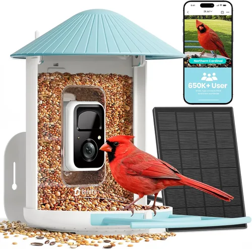 Miniatura 10 de NETVUE by Birdfy - Alimentador inteligente para pájaros con cámara AI 2K alimentado por energía solar, observación inalámbrica de aves silvestres