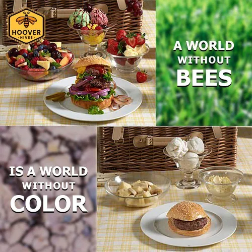 Miniatura 4 de Hoover Hives 8 marcos de colmena Langstroth sumergido en cera de abeja 100% incluye marcos de madera y bases enceradas